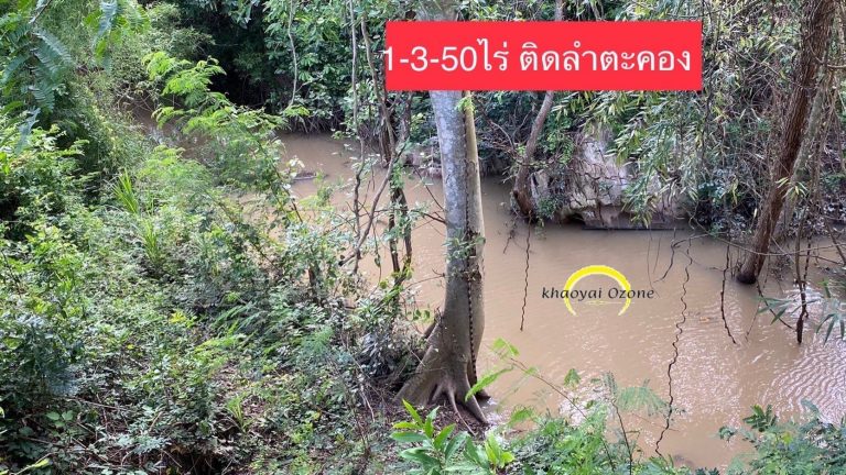 1-3-50ไร่ ติดลำตะคอง 11