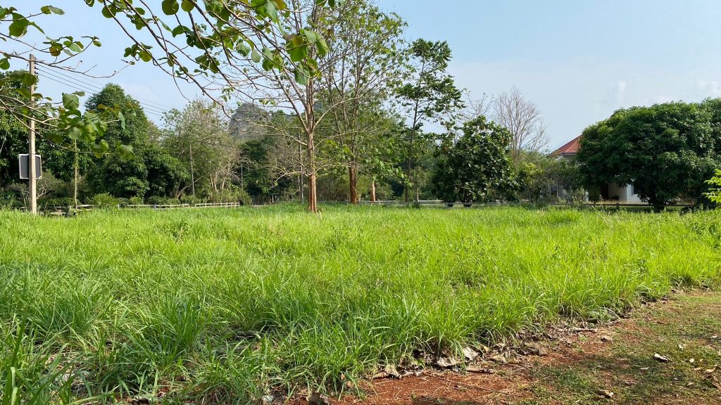 367 ตรว เขาลอย 13
