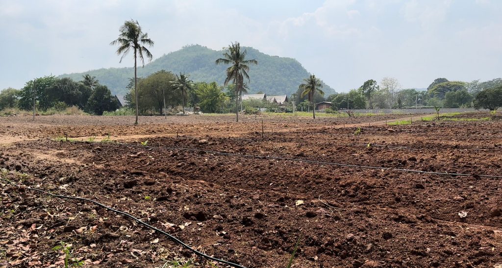 3ไร่ ติดลำตะคอง ท่าช้าง 3